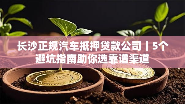 长沙正规汽车抵押贷款公司|5个避坑指南助你选靠谱渠道 长沙正规汽车抵押贷款公司|5个避坑指南助你选靠谱渠道