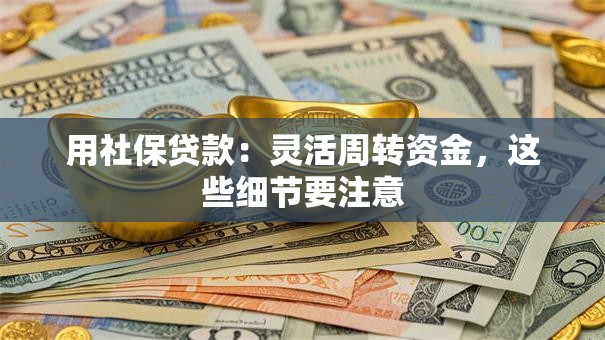用社保贷款：灵活周转资金，这些细节要注意