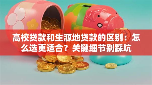 高校贷款和生源地贷款的区别：怎么选更适合？关键细节别踩坑