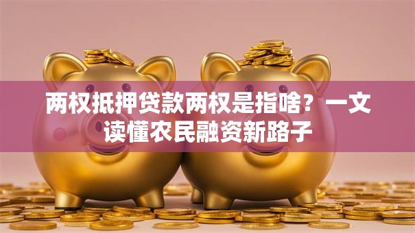 两权抵押贷款两权是指啥?一文读懂农民融资新路子 两权抵押贷款两权是指啥?一文读懂农民融资新路子