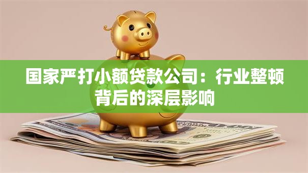 国家严打小额贷款公司：行业整顿背后的深层影响