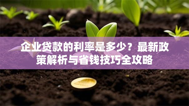 企业贷款的利率是多少？最新政策解析与省钱技巧全攻略