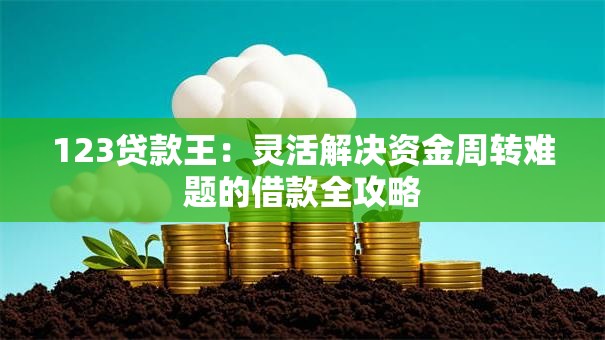 123贷款王:灵活解决资金周转难题的借款全攻略 123贷款王:灵活解决资金周转难题的借款全攻略