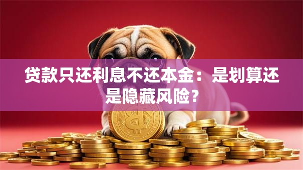 贷款只还利息不还本金:是划算还是隐藏风险? 贷款只还利息不还本金:是划算还是隐藏风险?