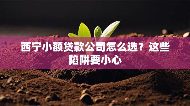 西宁小额贷款公司怎么选？这些陷阱要小心