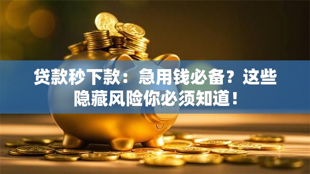 贷款秒下款：急用钱必备？这些隐藏风险你必须知道！