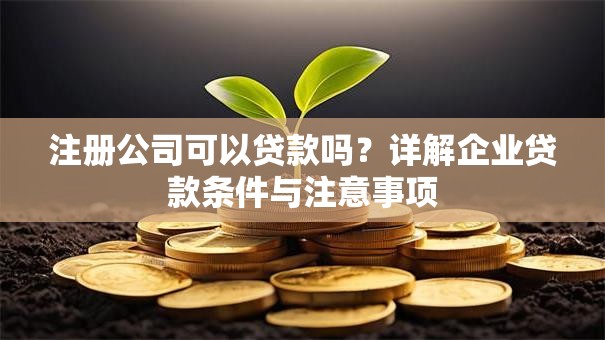 注册公司可以贷款吗?详解企业贷款条件与注意事项 注册公司可以贷款吗?详解企业贷款条件与注意事项