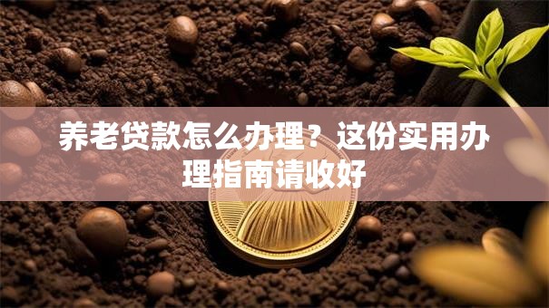 养老贷款怎么办理？这份实用办理指南请收好