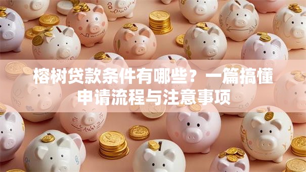 榕树贷款条件有哪些？一篇搞懂申请流程与注意事项