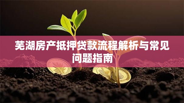 芜湖房产抵押贷款流程解析与常见问题指南 芜湖房产抵押贷款流程解析与常见问题指南