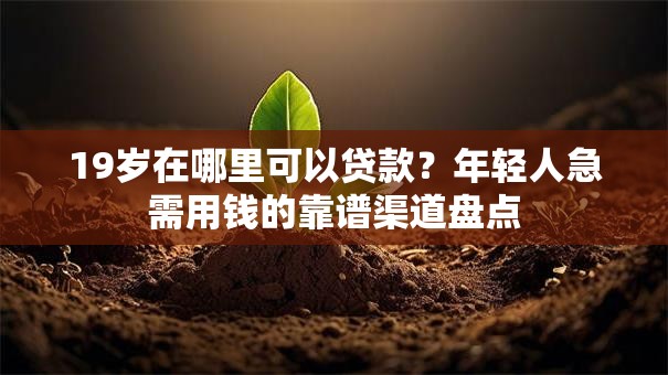 19岁在哪里可以贷款?年轻人急需用钱的靠谱渠道盘点 19岁在哪里可以贷款?年轻人急需用钱的靠谱渠道盘点