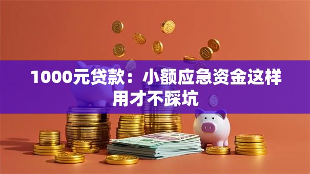 1000元贷款:小额应急资金这样用才不踩坑 1000元贷款:小额应急资金这样用才不踩坑