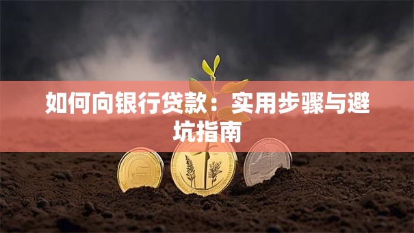 如何向银行贷款:实用步骤与避坑指南 如何向银行贷款:实用步骤与避坑指南