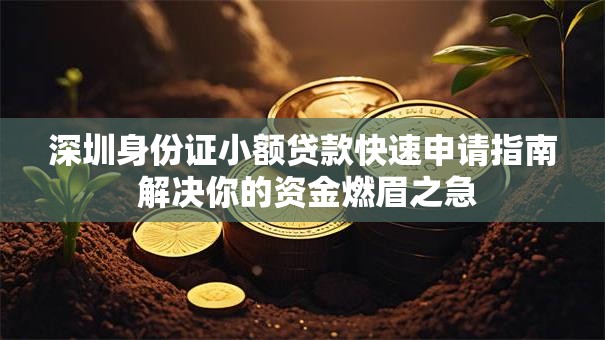 深圳身份证小额贷款快速申请指南 解决你的资金燃眉之急 深圳身份证小额贷款快速申请指南 解决你的资金燃眉之急