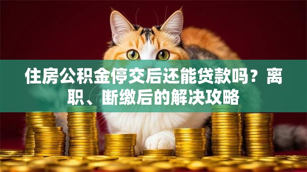 住房公积金停交后还能贷款吗？离职、断缴后的解决攻略