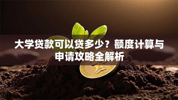 大学贷款可以贷多少？额度计算与申请攻略全解析