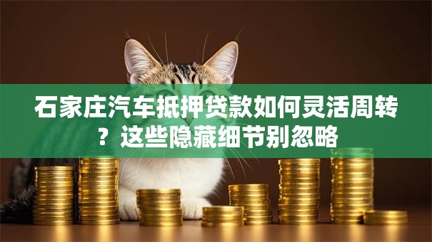 石家庄汽车抵押贷款如何灵活周转?这些隐藏细节别忽略 石家庄汽车抵押贷款如何灵活周转?这些隐藏细节别忽略