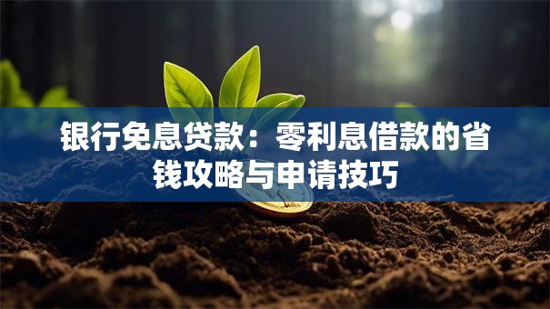 银行免息贷款:零利息借款的省钱攻略与申请技巧 银行免息贷款:零利息借款的省钱攻略与申请技巧