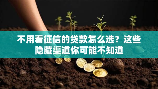 不用看征信的贷款怎么选?这些隐藏渠道你可能不知道 不用看征信的贷款怎么选?这些隐藏渠道你可能不知道