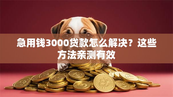 急用钱3000贷款怎么解决?这些方法亲测有效 急用钱3000贷款怎么解决?这些方法亲测有效
