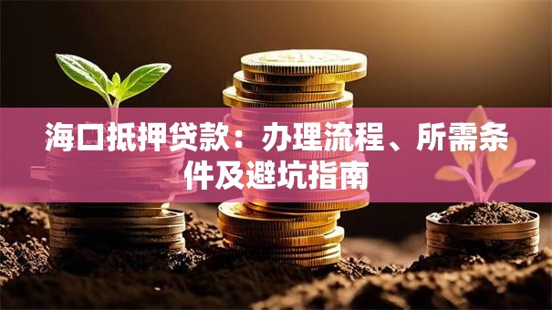 海口抵押贷款：办理流程、所需条件及避坑指南
