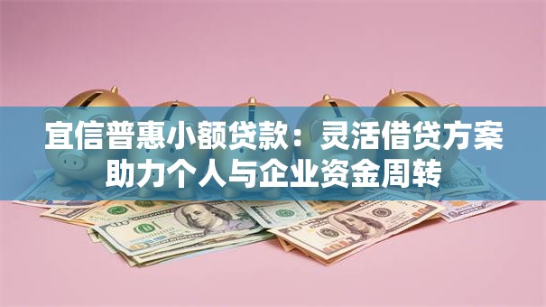 宜信普惠小额贷款:灵活借贷方案助力个人与企业资金周转 宜信普惠小额贷款:灵活借贷方案助力个人与企业资金周转