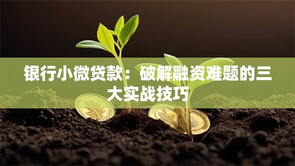 银行小微贷款:破解融资难题的三大实战技巧 银行小微贷款:破解融资难题的三大实战技巧