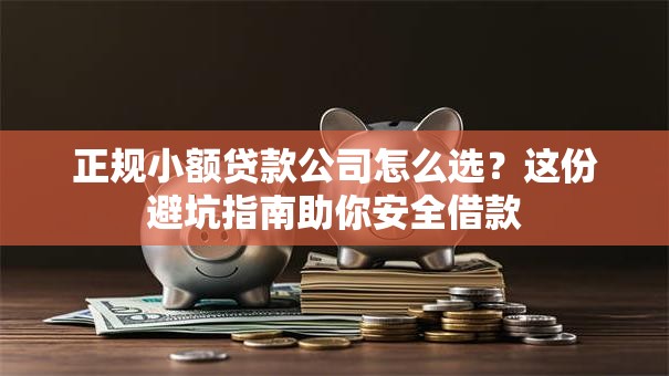 正规小额贷款公司怎么选?这份避坑指南助你安全借款 正规小额贷款公司怎么选?这份避坑指南助你安全借款