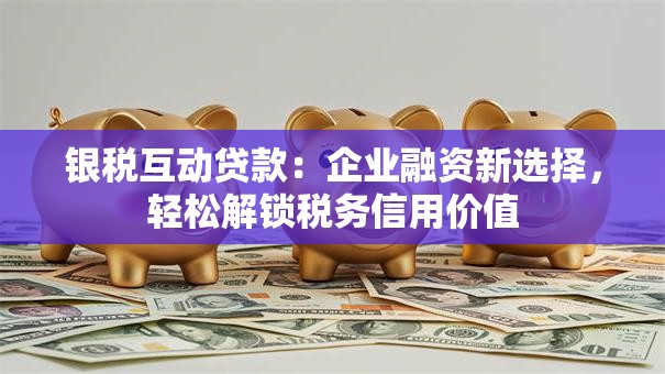 银税互动贷款：企业融资新选择，轻松解锁税务信用价值