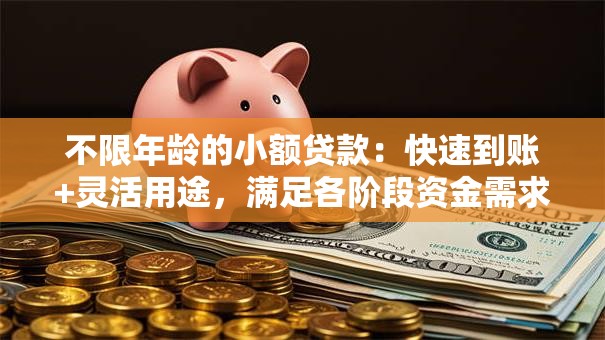 不限年龄的小额贷款:快速到账+灵活用途,满足各阶段资金需求 不限年龄的小额贷款:快速到账+灵活用途,满足各阶段资金需求