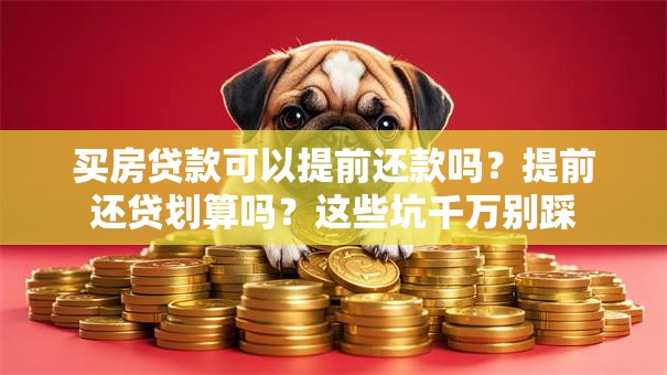 买房贷款可以提前还款吗?提前还贷划算吗?这些坑千万别踩 买房贷款可以提前还款吗?提前还贷划算吗?这些坑千万别踩