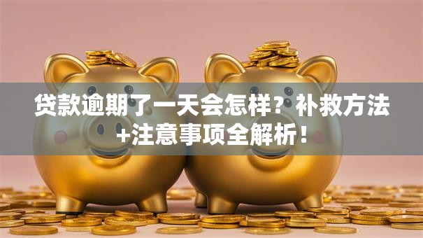 贷款逾期了一天会怎样？补救方法+注意事项全解析！