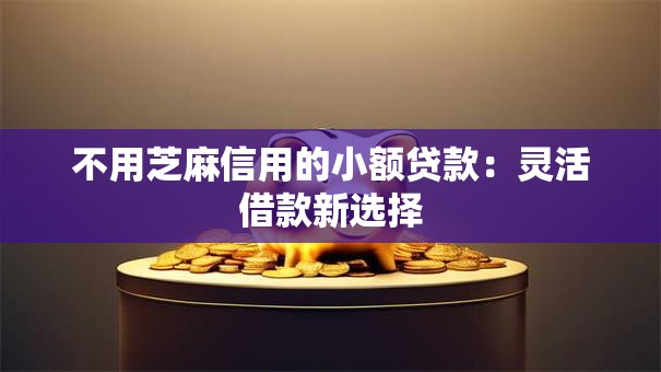 不用芝麻信用的小额贷款：灵活借款新选择