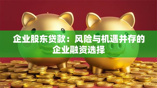 企业股东贷款：风险与机遇并存的企业融资选择