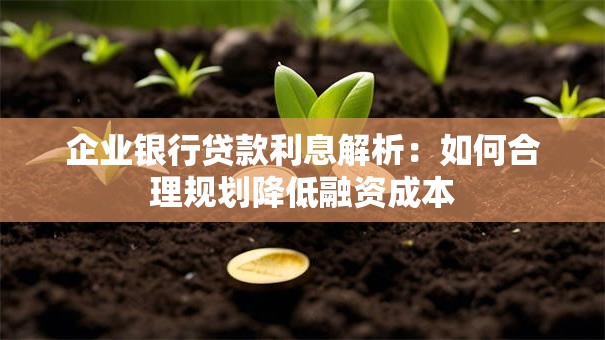 企业银行贷款利息解析：如何合理规划降低融资成本