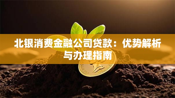 北银消费金融公司贷款：优势解析与办理指南