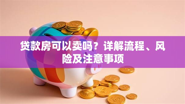贷款房可以卖吗？详解流程、风险及注意事项