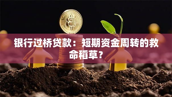 银行过桥贷款：短期资金周转的救命稻草？