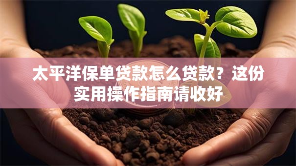 太平洋保单贷款怎么贷款?这份实用操作指南请收好 太平洋保单贷款怎么贷款?这份实用操作指南请收好