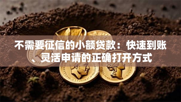 不需要征信的小额贷款:快速到账、灵活申请的正确打开方式 不需要征信的小额贷款:快速到账、灵活申请的正确打开方式