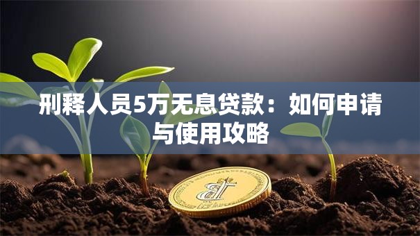 刑释人员5万无息贷款：如何申请与使用攻略