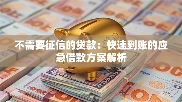 不需要征信的贷款：快速到账的应急借款方案解析
