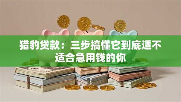 猎豹贷款:三步搞懂它到底适不适合急用钱的你 猎豹贷款:三步搞懂它到底适不适合急用钱的你