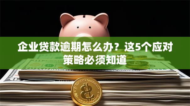 企业贷款逾期怎么办?这5个应对策略必须知道 企业贷款逾期怎么办?这5个应对策略必须知道