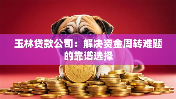 玉林贷款公司:解决资金周转难题的靠谱选择 玉林贷款公司:解决资金周转难题的靠谱选择