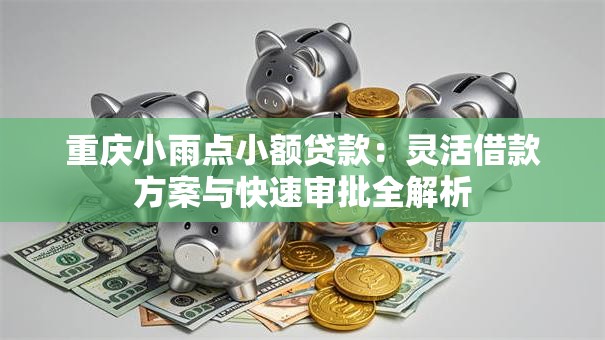 重庆小雨点小额贷款:灵活借款方案与快速审批全解析 重庆小雨点小额贷款:灵活借款方案与快速审批全解析