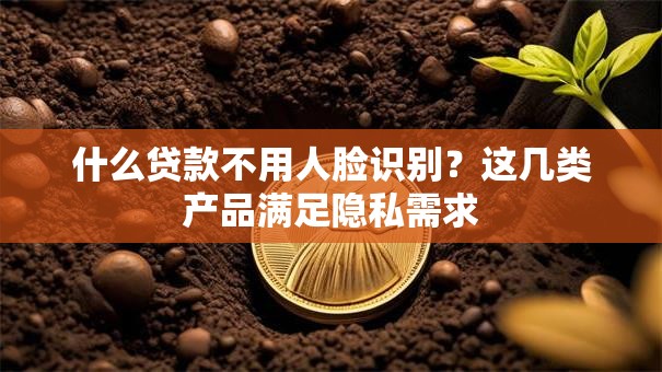 什么贷款不用人脸识别?这几类产品满足隐私需求 什么贷款不用人脸识别?这几类产品满足隐私需求