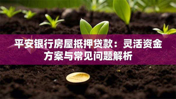 平安银行房屋抵押贷款:灵活资金方案与常见问题解析 平安银行房屋抵押贷款:灵活资金方案与常见问题解析