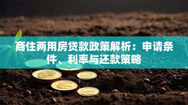 商住两用房贷款政策解析:申请条件、利率与还款策略 商住两用房贷款政策解析:申请条件、利率与还款策略