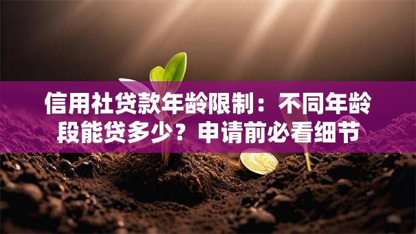信用社贷款年龄限制：不同年龄段能贷多少？申请前必看细节